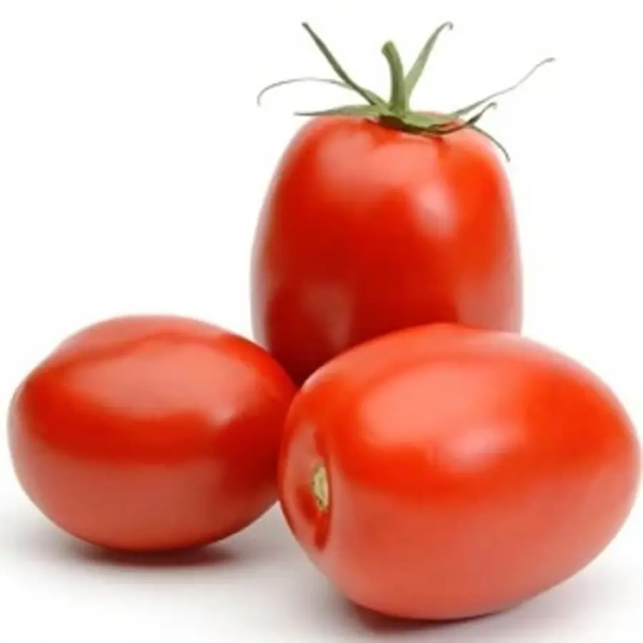 Fresh Tomatoes